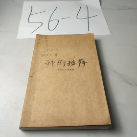 我的拉萨：围着拉萨绕两圈