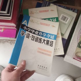 全国68所名牌小学：小学毕业升学夺冠 字·词·句训练大集结