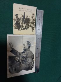 毛主席十周总理像片