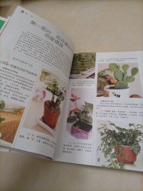 家庭花艺系列：家庭花卉养护摆放宝典【封皮和版权页脱落；但书的品相不错】