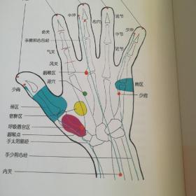 《手到病除术一神奇反射疗法》修订版