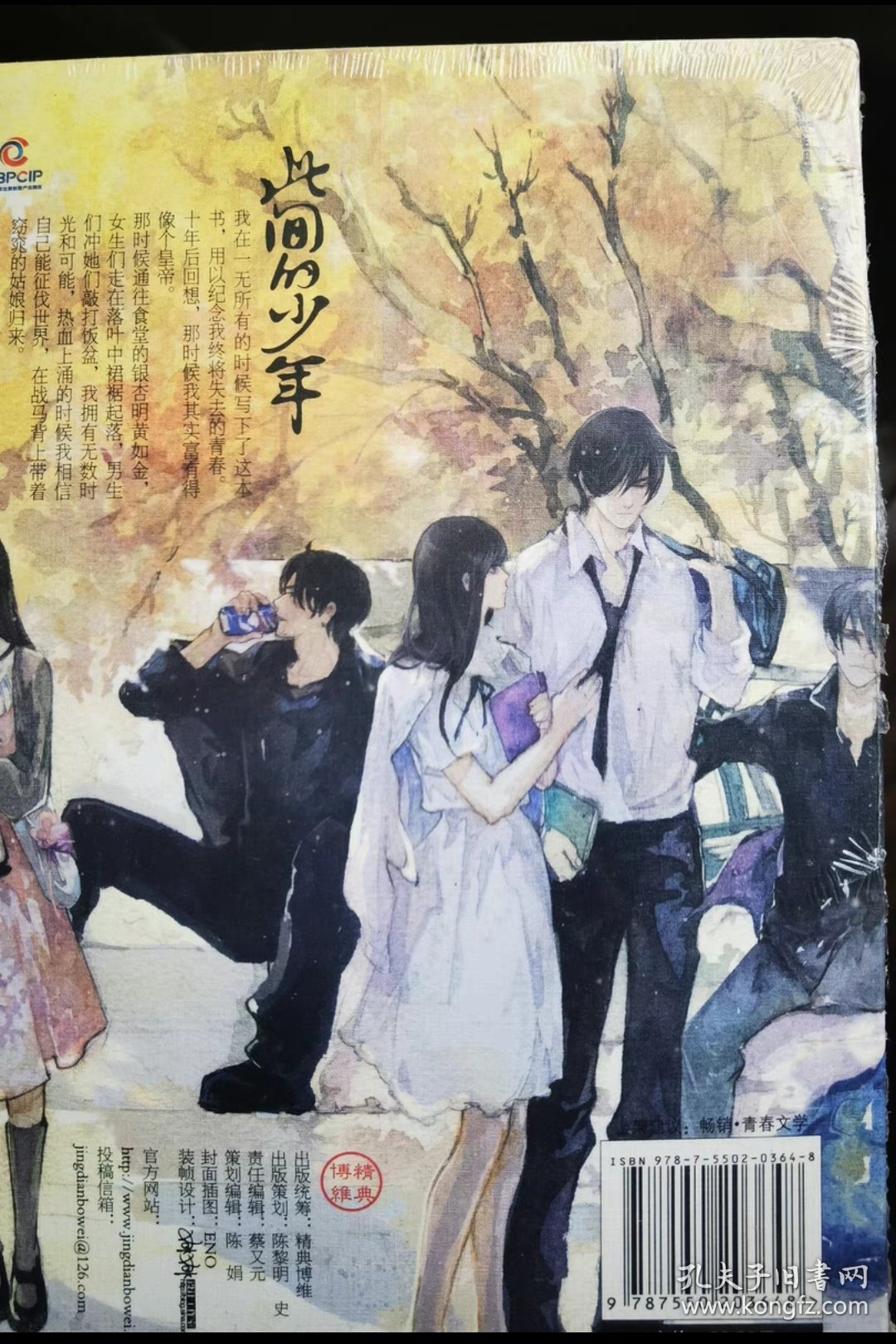 此间的少年：十周年纪念版