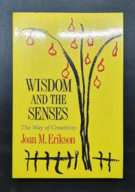 （进口英文原版）Wisdom and the Senses: The Way of Creativity