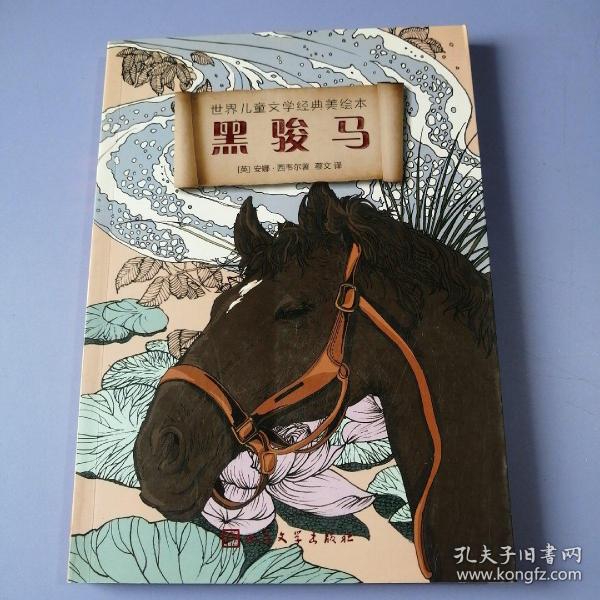 世界儿童文学经典美绘本：黑骏马