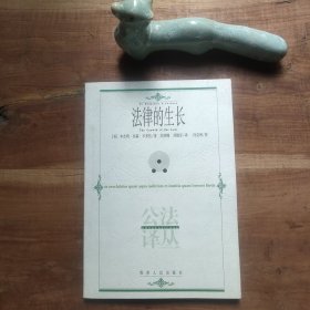 法律的生长 图4－5瑕疵