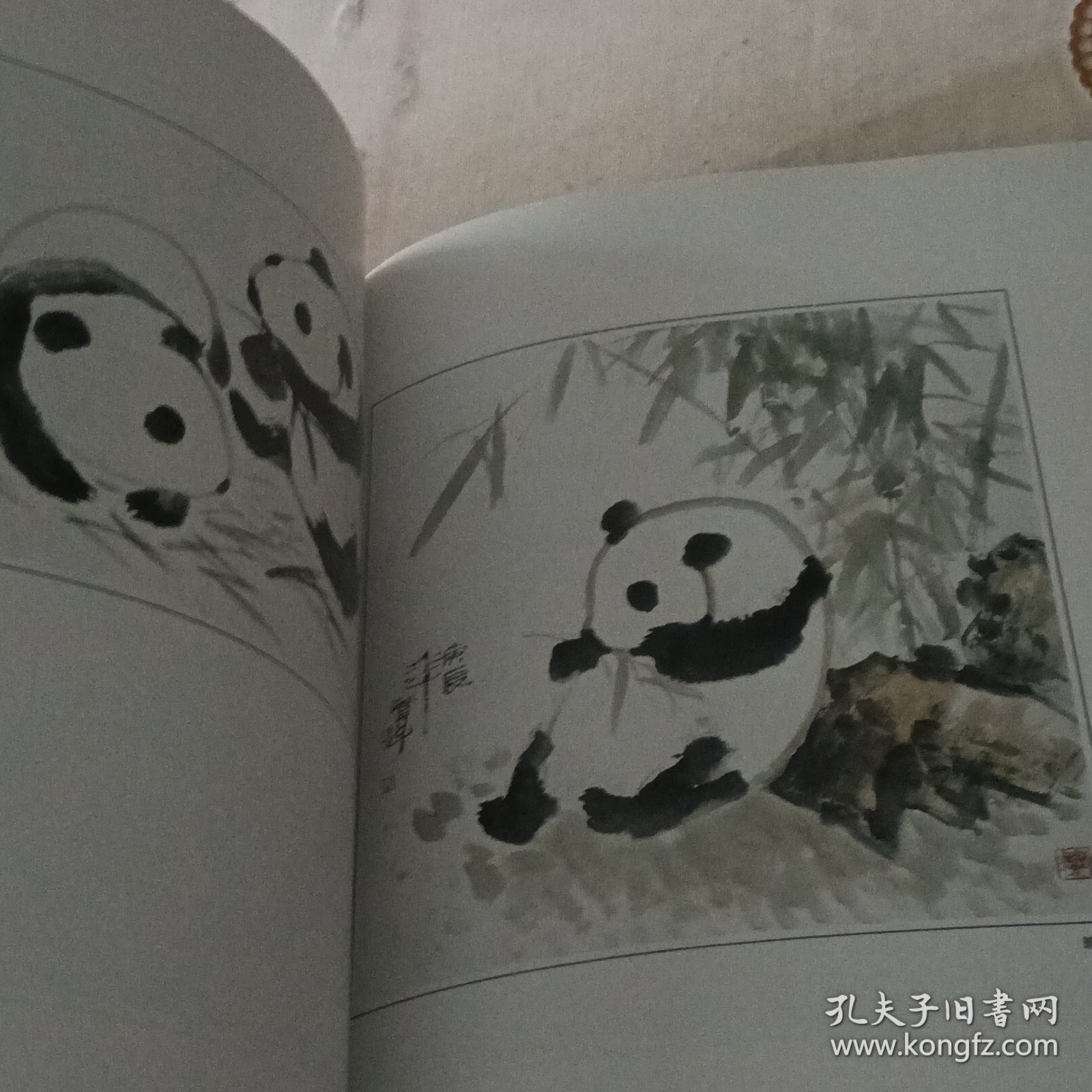 徐贤佩写意花鸟画