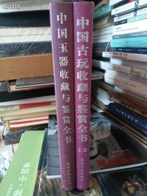 一套库存，中国玉器收藏与鉴赏全书上卷、中国古玩收藏与鉴赏全书上卷，两本精装厚册合售55元 9号狗院