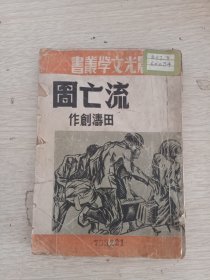 《流亡图》晨光文学丛书 第二十八种