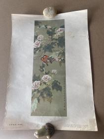 五六十年代8开年画 芙蓉幽禽 陈之佛画 1960年人民美术出版社