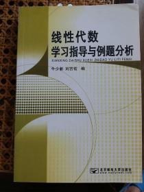 线性代数学习指导与例题分析