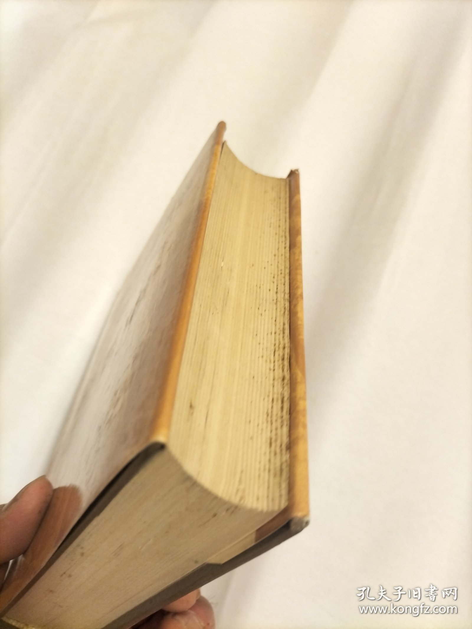 中国历史文化名城词典