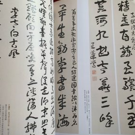 《中国书法》杂志，王蘧常书法专辑（4-49页) 王蘧常书法作品选 冯其庸:读王蘧常先生书法随想 候开嘉:关于王蘧常章草书史定位的断想 王蘧常对沈曾植书法的接受与创变 王蘧常书法研究摘编 张雨、倪瓒书法特辑，元·张雨《行楷书台仙阁记卷》等，倪瓒题款书法分期及特点，倪瓒小楷风格及成因探析，赵孟頫、杨维桢对张雨行草书风的影响，倪瓒《楷书杂诗五首卷》等，楚默:元代书风之嬗变、从题款看倪云林对画境的拓展，