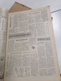 红色社员报 1982年1-4 4个季度合售 四本全