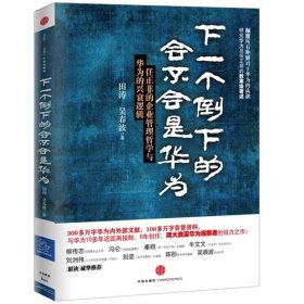 下一个倒下的会不会是华为：任正非的企业管理哲学与华为的兴衰逻辑