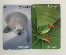 野生动物-北极熊、树蛙