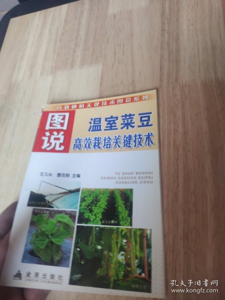 图说温室菜豆高效栽培关键技术