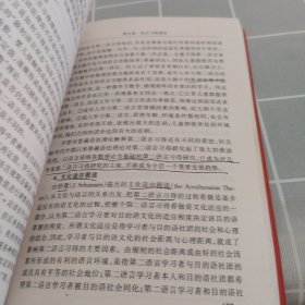 对外汉语教育学引论