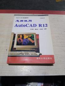 怎样使用AutoCAD R12