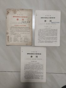 1956年 辽宁省先进卫生工作者代表大会 会刊 第1 2 3期