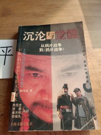 沉沦与觉醒:从鸦片战争到《鸦片战争》