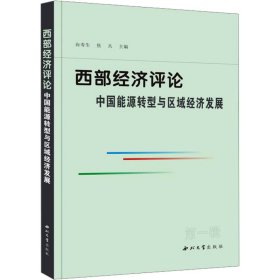 西部经济评论 中国能源转型与区域经济发展 向寿生 西北大学出版社 正版新书