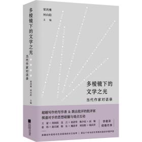 多棱镜下的文学之光:当代作家对话录 杂文 梁鸿鹰，何向阳主编