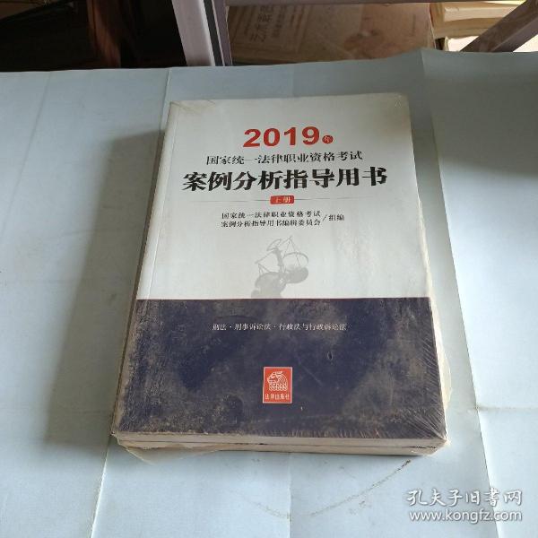 司法考试2019 2019年国家统一法律职业资格考试案例分析指导用书（全2册）