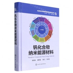 釩化合物納米能源材料(精)/先進電化學(xué)能源存儲與轉(zhuǎn)化技術(shù)叢書