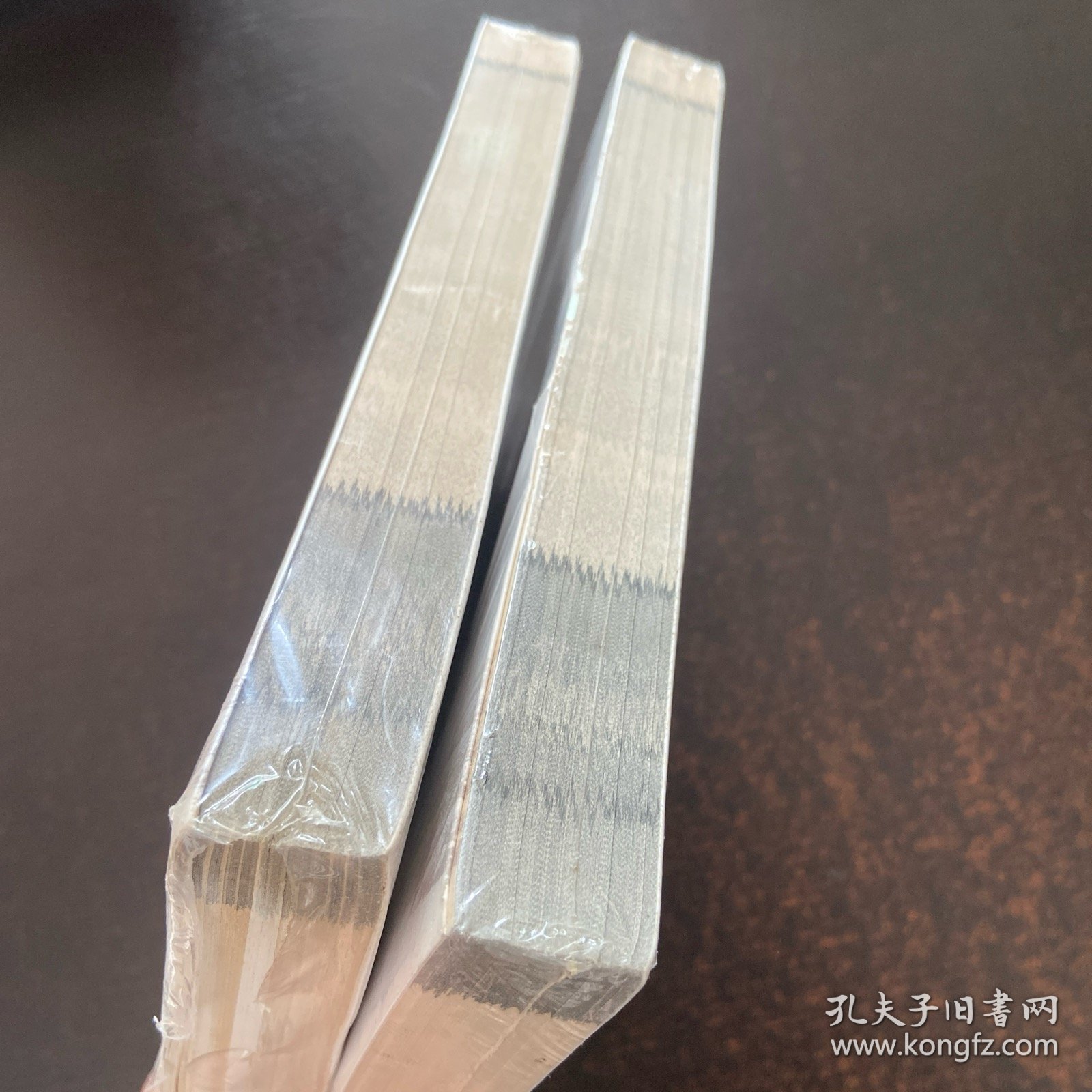 施公案（上下）