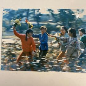 《中国摄影》旧藏国际得奖摄影作品： 利智仁（广东摄影家协会副主席）《欢花笑语》（获第五届亚太地区摄影比赛二等奖）17*13 公分，R1022