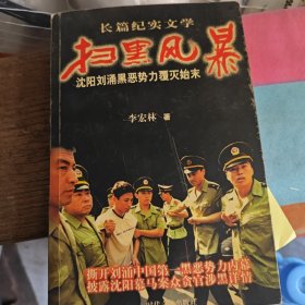 扫黑风暴一沈阳刘涌黑恶势力覆灭始末（3-3-2）