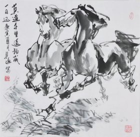 吴迅 字画国画四尺斗方马精品04（买家自鉴）