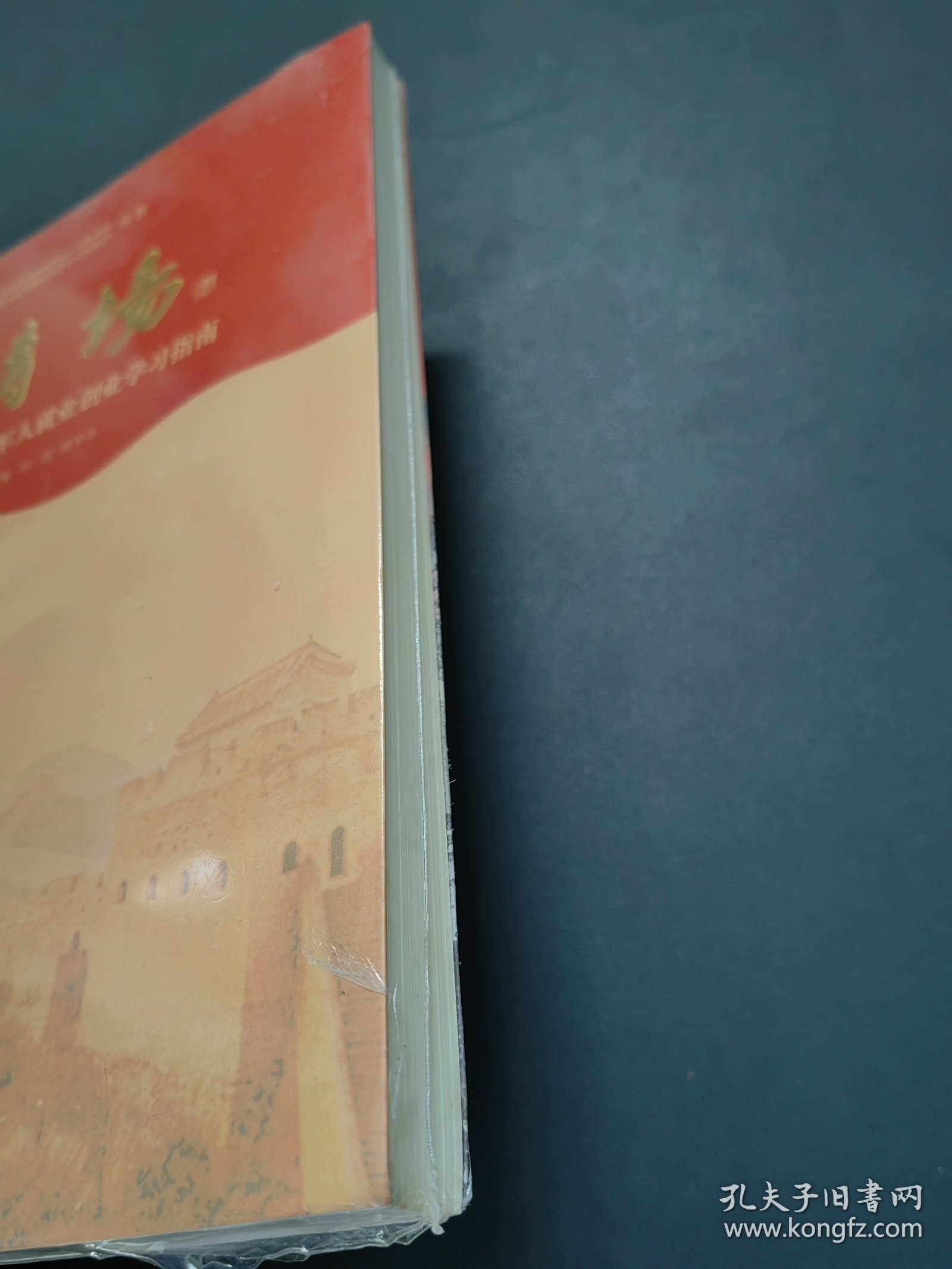 转场：新时代退役军人就业创业学习指南