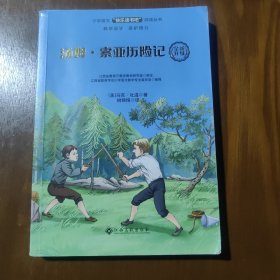 汤姆·索亚历险记/小学语文快乐读书吧阅读丛书