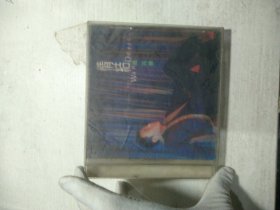 CD 温兆伦 情结