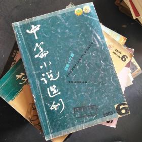 中篇小说选刊2005--6