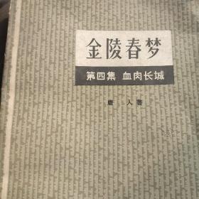 80年代小说 金陵春梦第四集，血肉长城