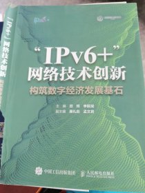 “IPv6+”网络技术创新：构筑数字经济发展基石 （封面掉页，不影响阅读，见图）