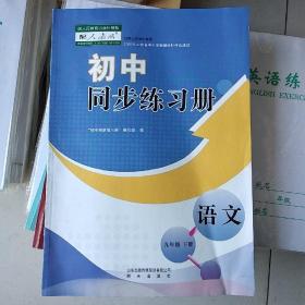 初中同步练习册语文九年级下册