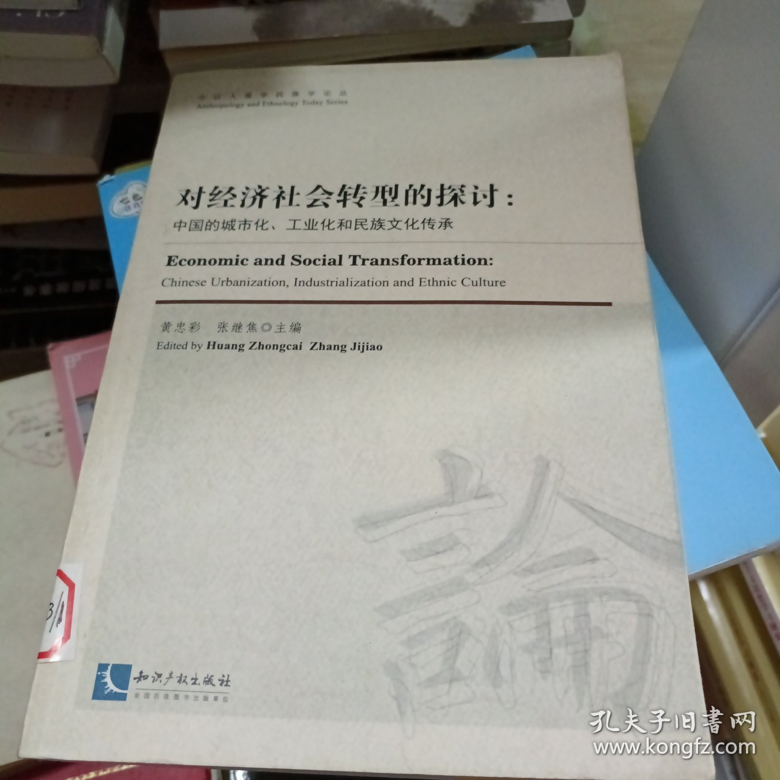 今日人类学民族学论丛·对经济社会转型的探讨：中国的城镇化、工业化和民族文化传承