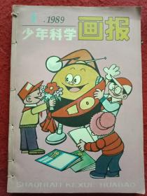 少年科学画报 1989 全年订在一起