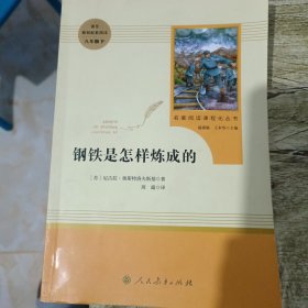 统编语文教材配套阅读 八年级下：钢铁是怎样炼成的/名著阅读课程化丛书