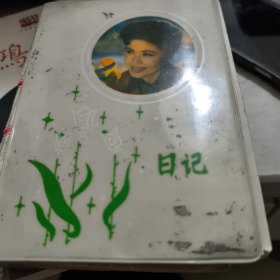 日记本（1989年）