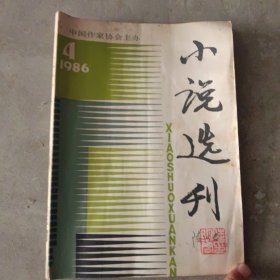 小说选刊