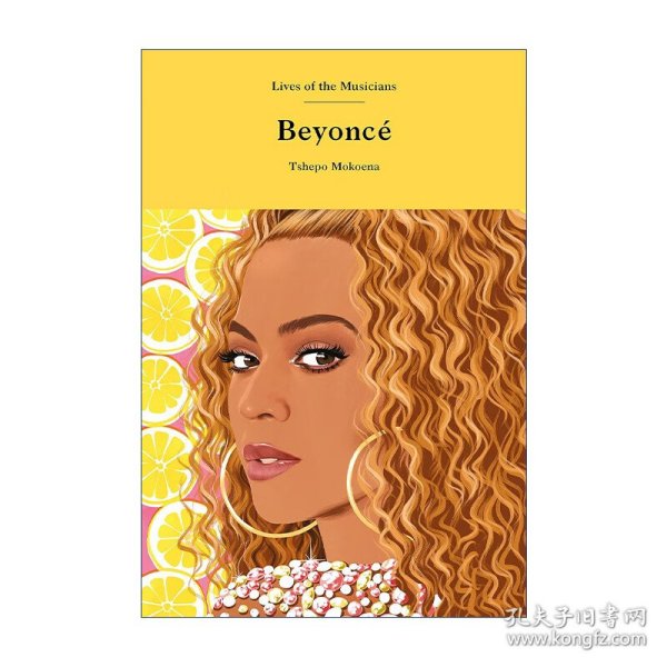 Beyoncé 艺术家传记 碧昂丝 女歌手 精装