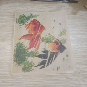画片一张