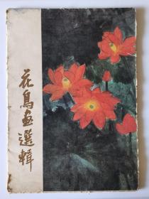 花鸟画选辑