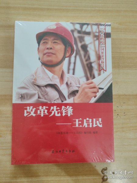 改革先锋：王启民