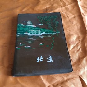 日记本（北京，字迹工整有收藏价值）