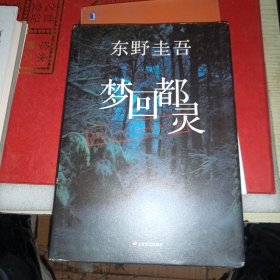 梦回都灵：东野圭吾悬疑系列